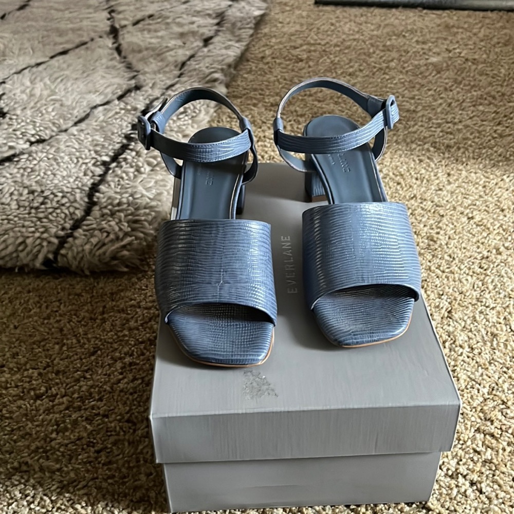 Everlane Block Heel Sandal